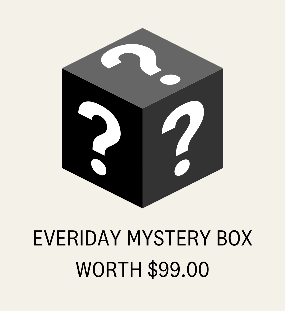 Everiday 99 Mystery Box
